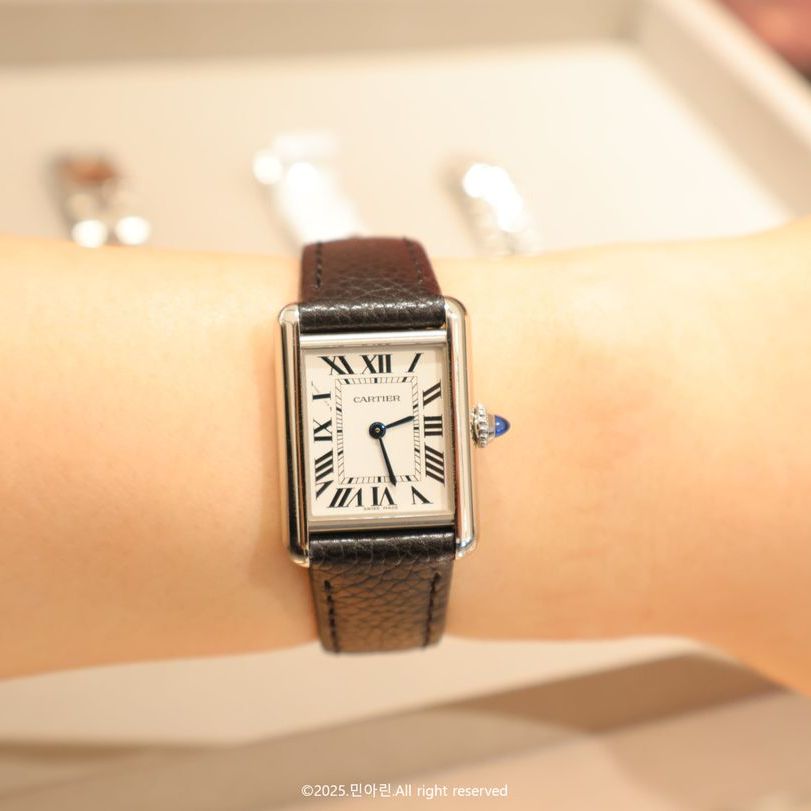 Cartier Tank Must SM WSTA0110 owner photo 2