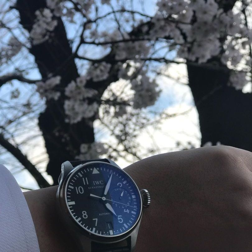 IWC 빅 파일럿 워치 모노푸셔 '어린 왕자' 에디션 IW515202 착용샷 1