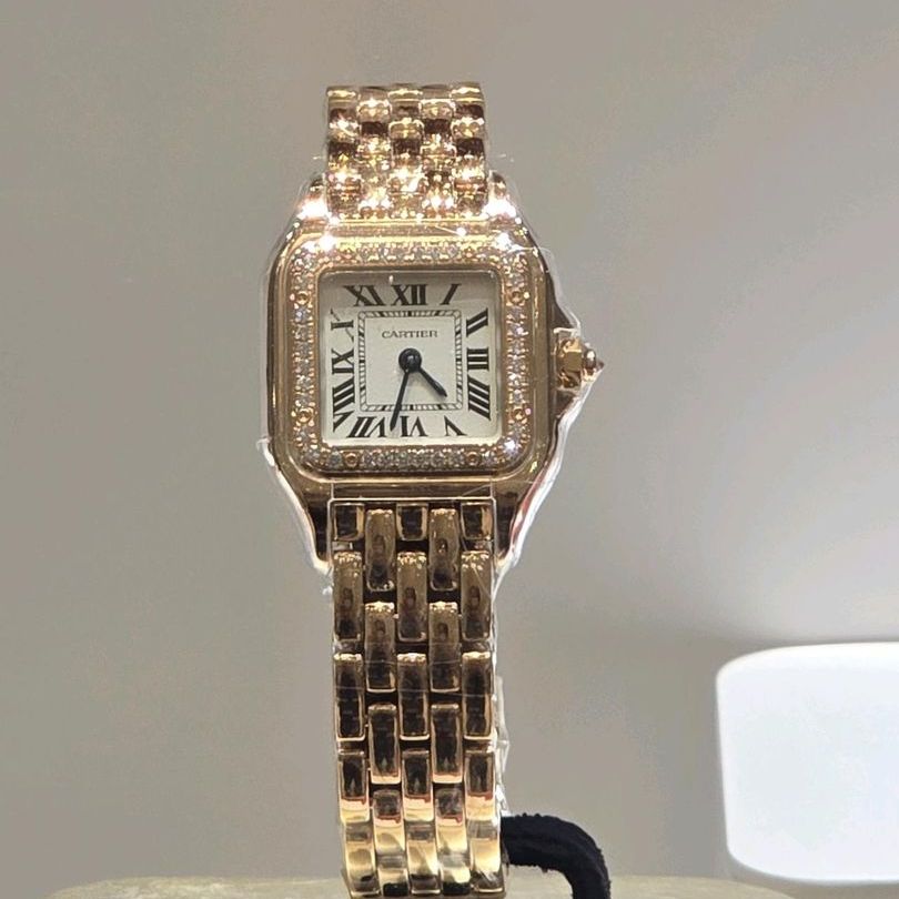Cartier Panthere SM W3PN0006 owner photo 1