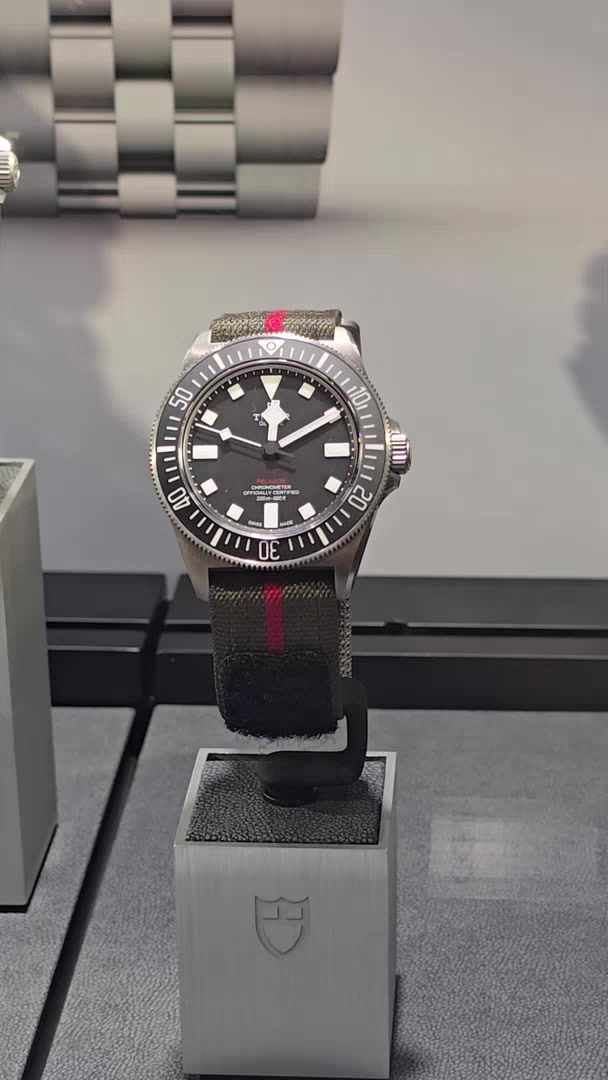 Tudor Pelagos FXD M25717N-0001 着用写真 1