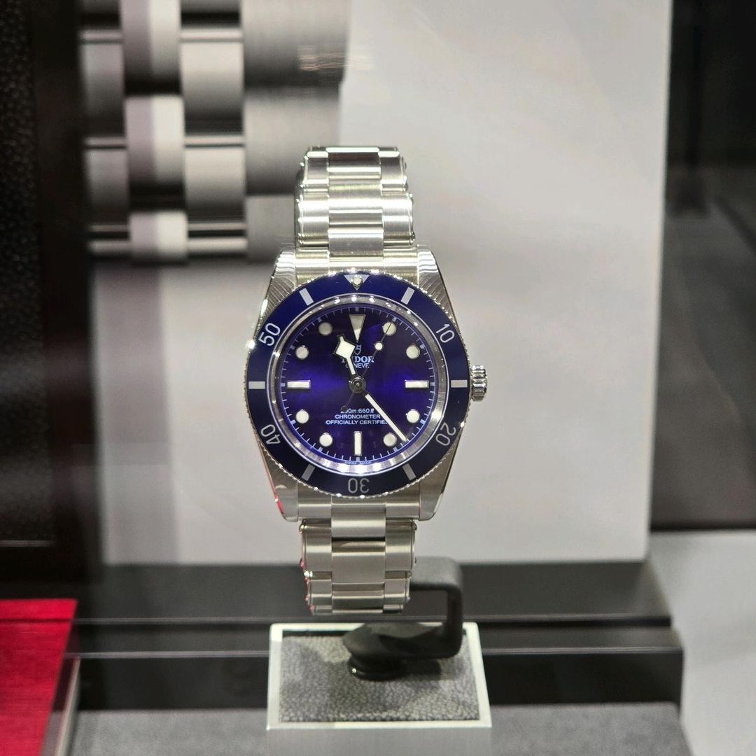 Tudor Black Bay 54 M79000B-0001 着用写真 1