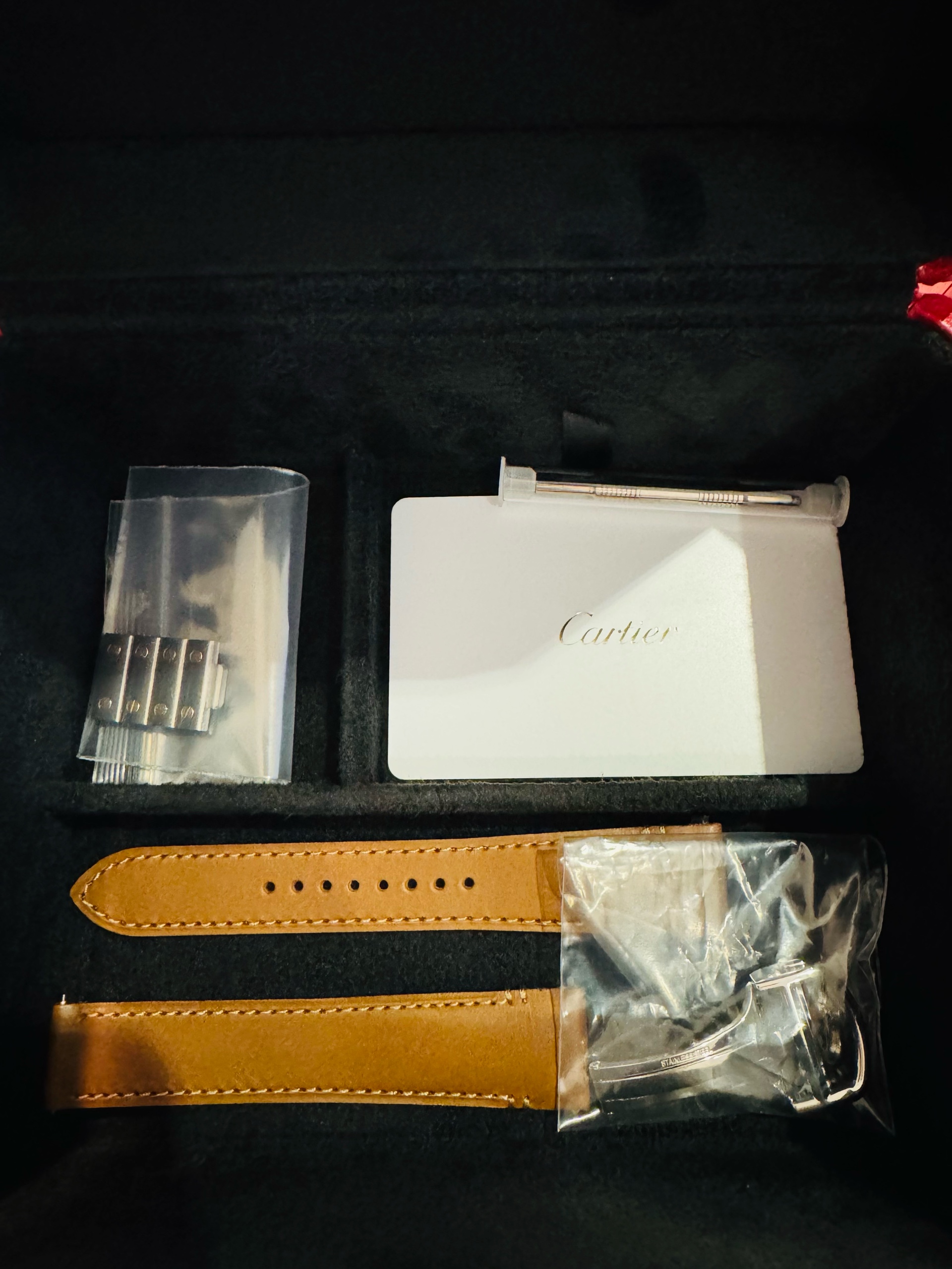 Cartier Santos de Cartier MM W2SA0016 - 6