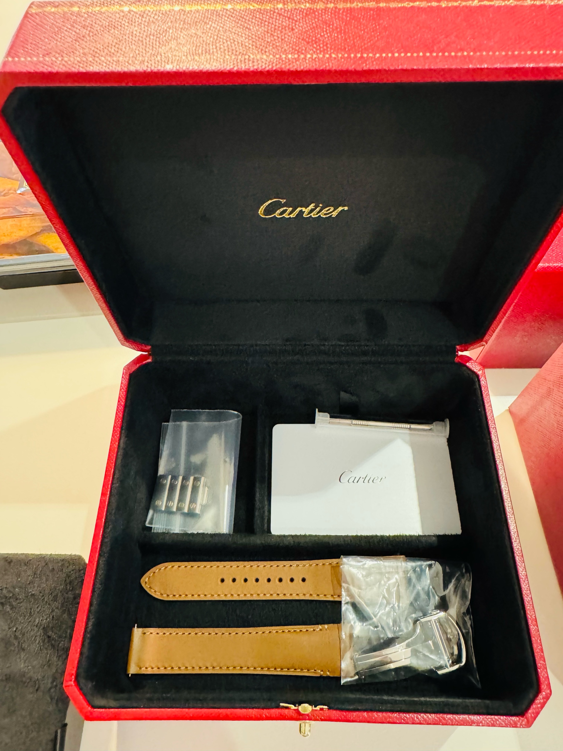 Cartier Santos de Cartier MM W2SA0016 - 7