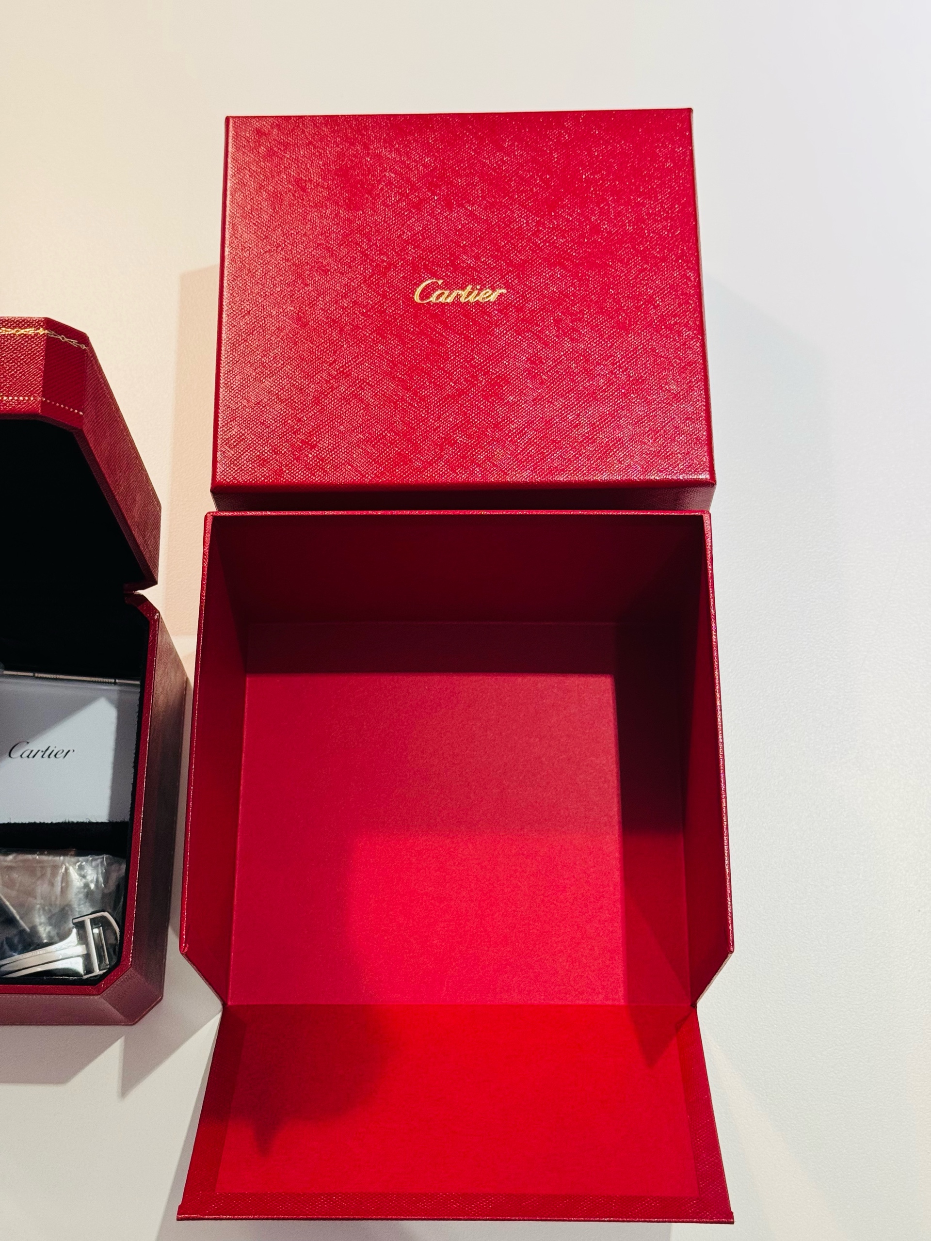 Cartier Santos de Cartier MM W2SA0016 - 8