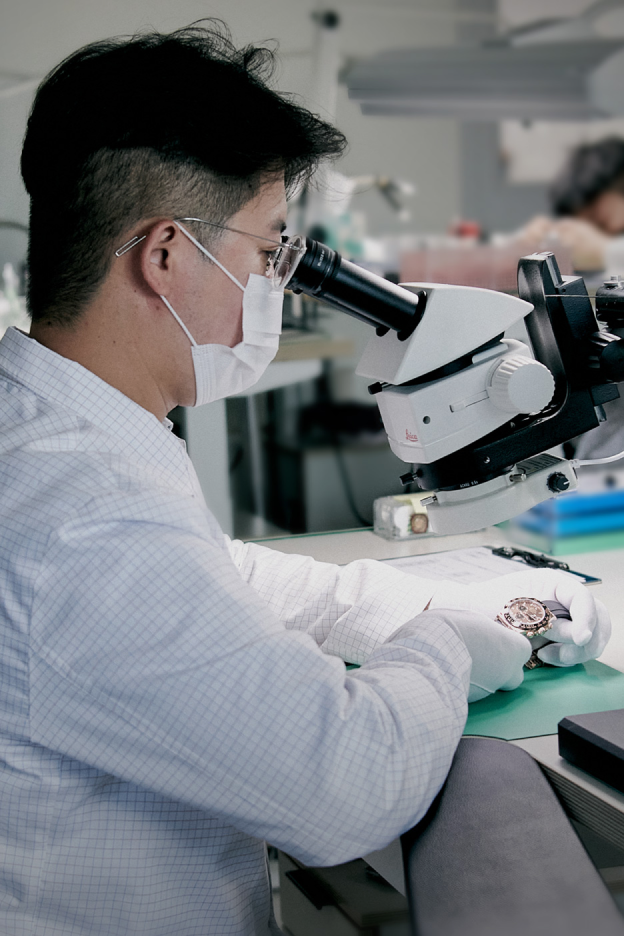 Visual & Physical Inspection at VIVER Labs